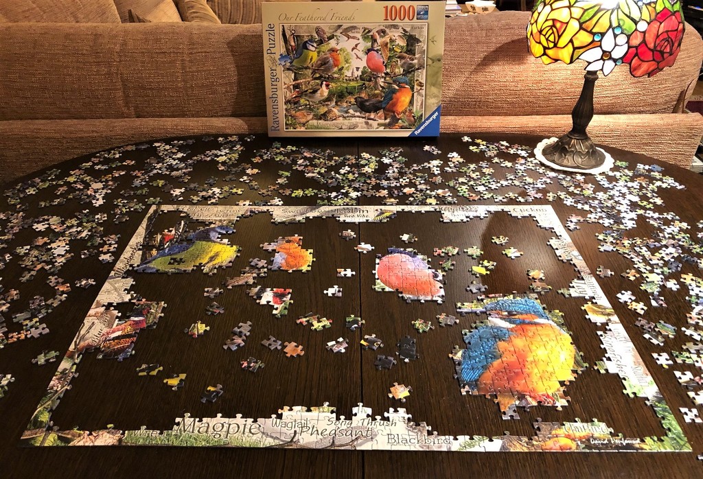 The Puzzle So Far by susiemc