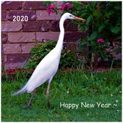 1st Jan 2020 - Walking Into A New Year ~