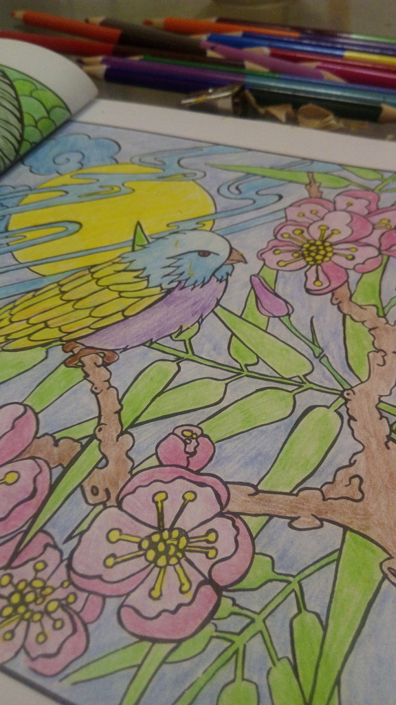 Relaxing with colored pencils and coloring pages. by nyngamynga