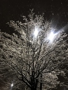 26th Dec 2019 - Snow night