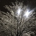 Snow night by jnadonza
