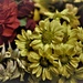 Flowers in Bloom by chejja