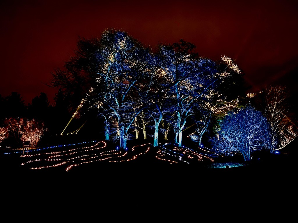 Synchronized "Dancing Lights" at Morton Arboretum by jyokota