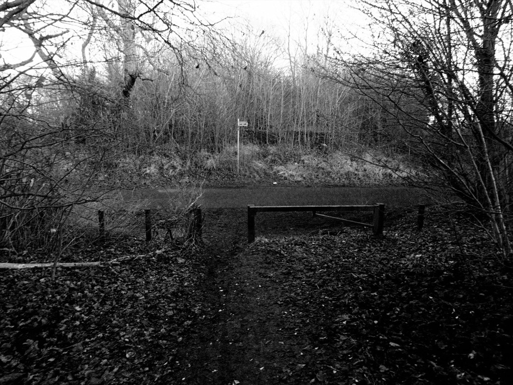 Entrance to old railway track Pleasley Vale by allsop