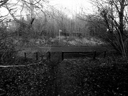 1st Jan 2020 - Entrance to old railway track Pleasley Vale