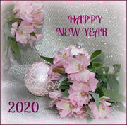 1st Jan 2020 - Happy New Year.