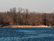 1st Jan 2020 - river landscape