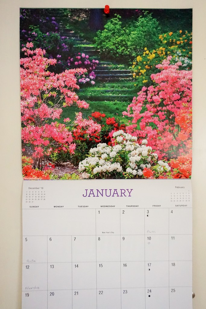 Welcome to a new month, a new year, a new decade by tunia