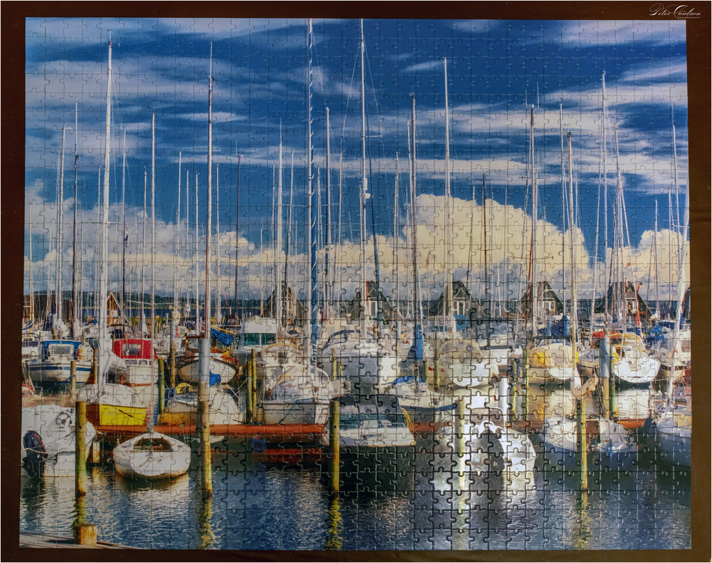 Jigsaw Puzzle by pcoulson