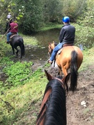 19th Sep 2019 - Horseback Riding