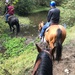 Horseback Riding by frantackaberry