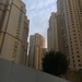 Dubai  by wilkinscd