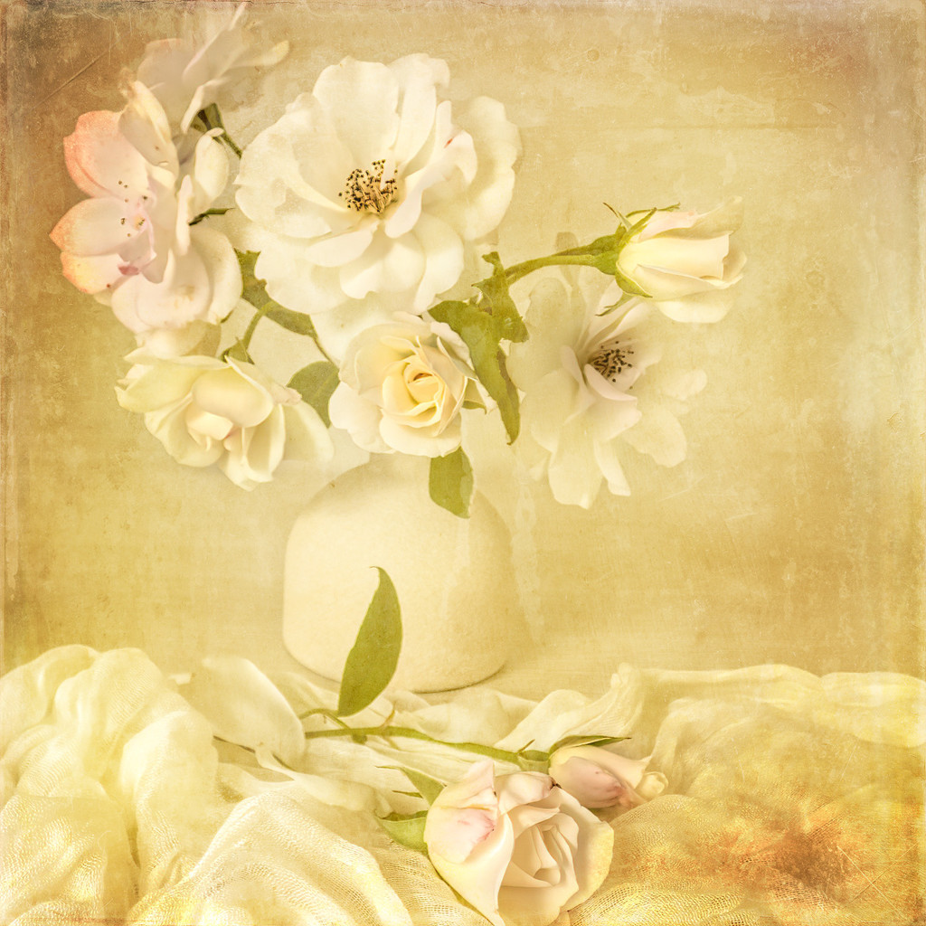 Roses with a texture by ludwigsdiana