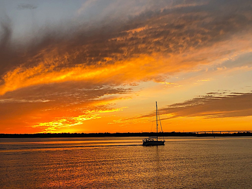 A gorgeous sunset the other evening over the Ashley River in Charleston. by congaree