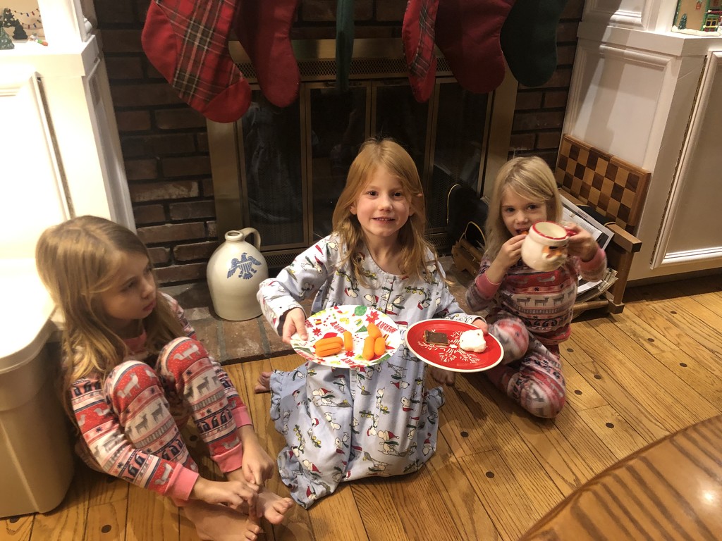 Milk and cookies for Santa by mdoelger