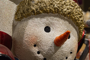 2nd Jan 2020 - Frosty says 'Happy New Year' from the Darkroom!