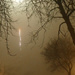 Fog at night by marijbar
