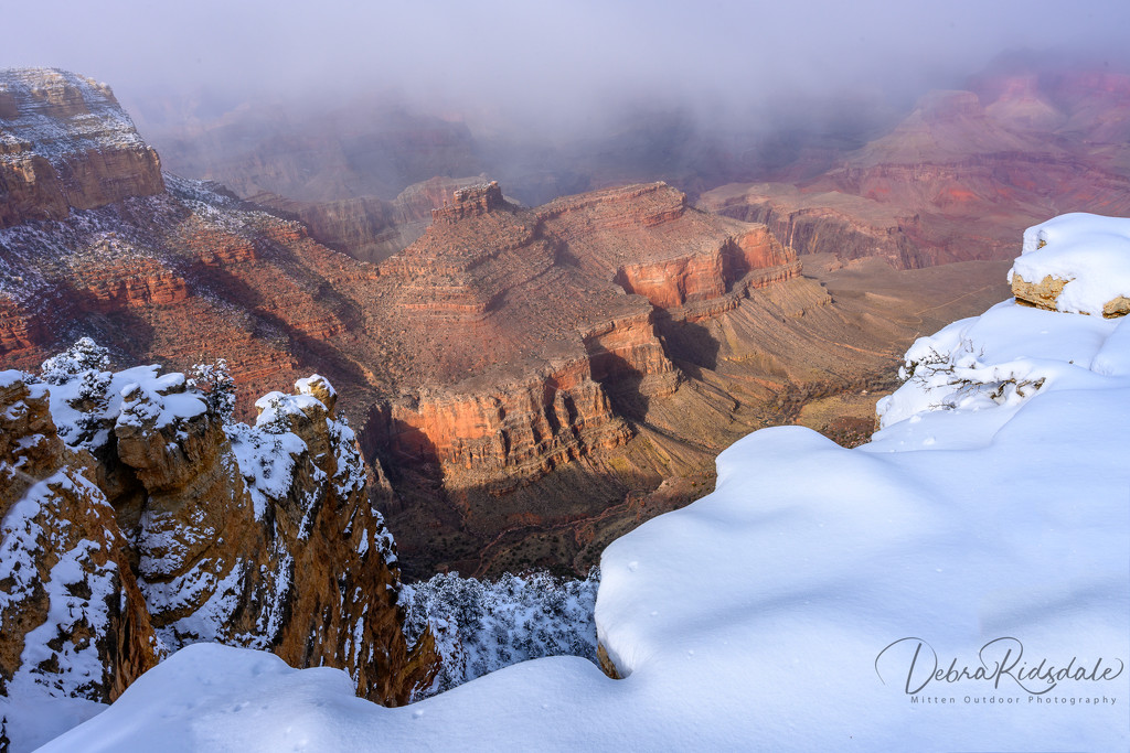 Loved the snow at the Grand Canyon  by dridsdale