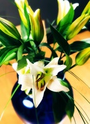 31st Dec 2019 - New Year's Eve Lilies