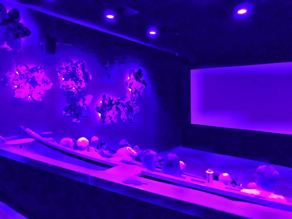 Cinema...Flower Bowl by happypat