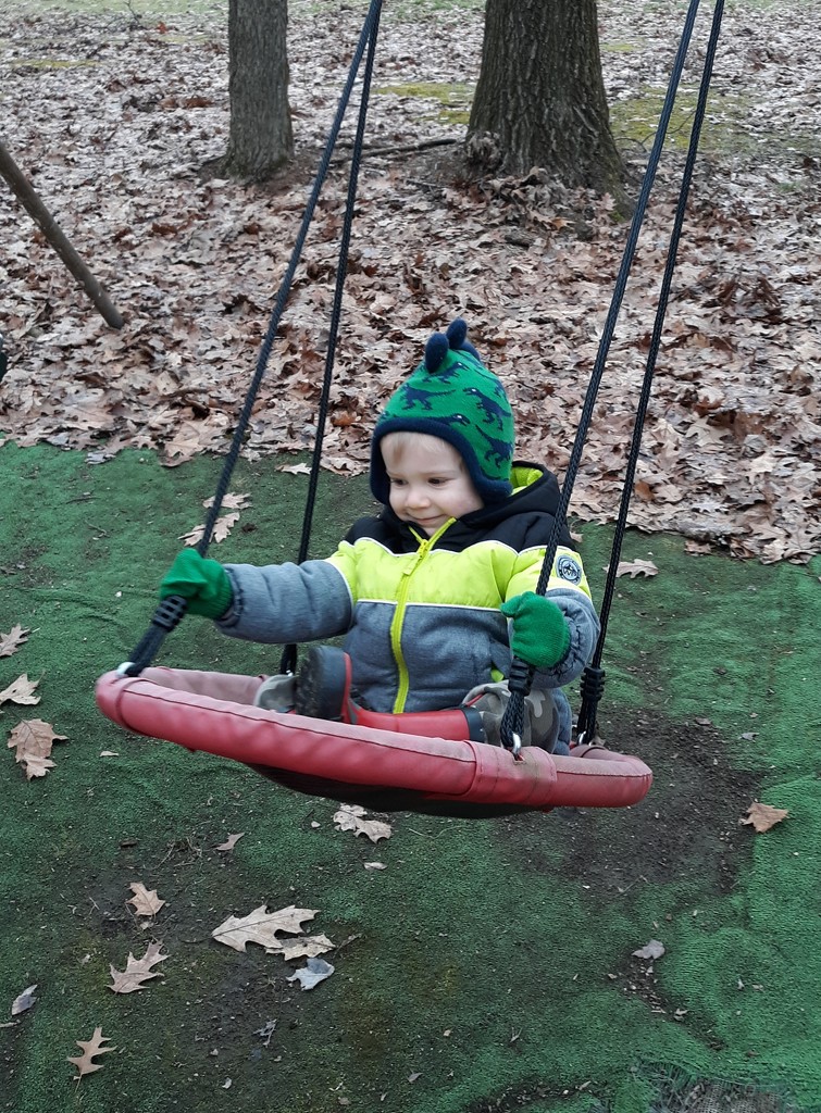 Swinging on a Cold Winter's Day by julie
