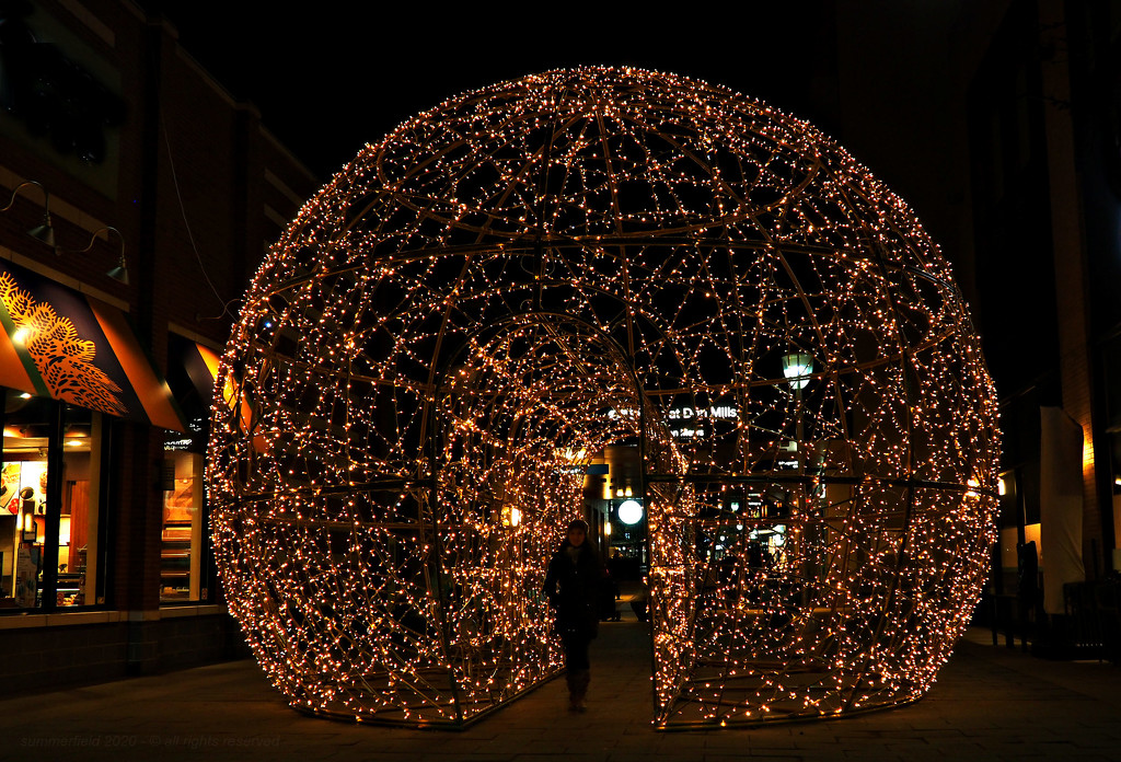 the igloo of a million lights by summerfield