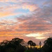 Sunset, Hampton Park, Charleston  by congaree