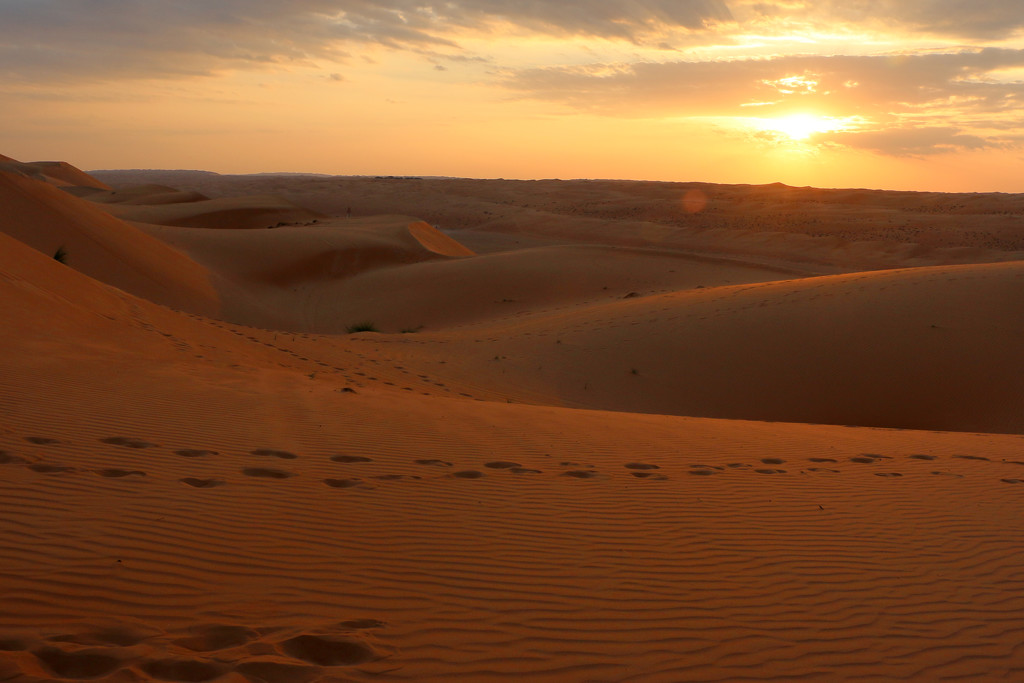 Sunset in the desert by ingrid01