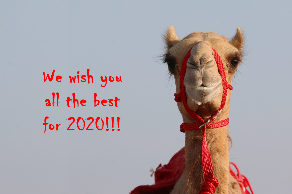 Best wishes for 2020! by ingrid01