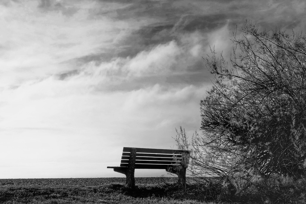 Bench on the Beach by 4rky