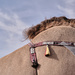 Camel beauty competition - Hump shot by stefanotrezzi