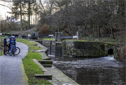 3rd Jan 2020 - Along the Canal