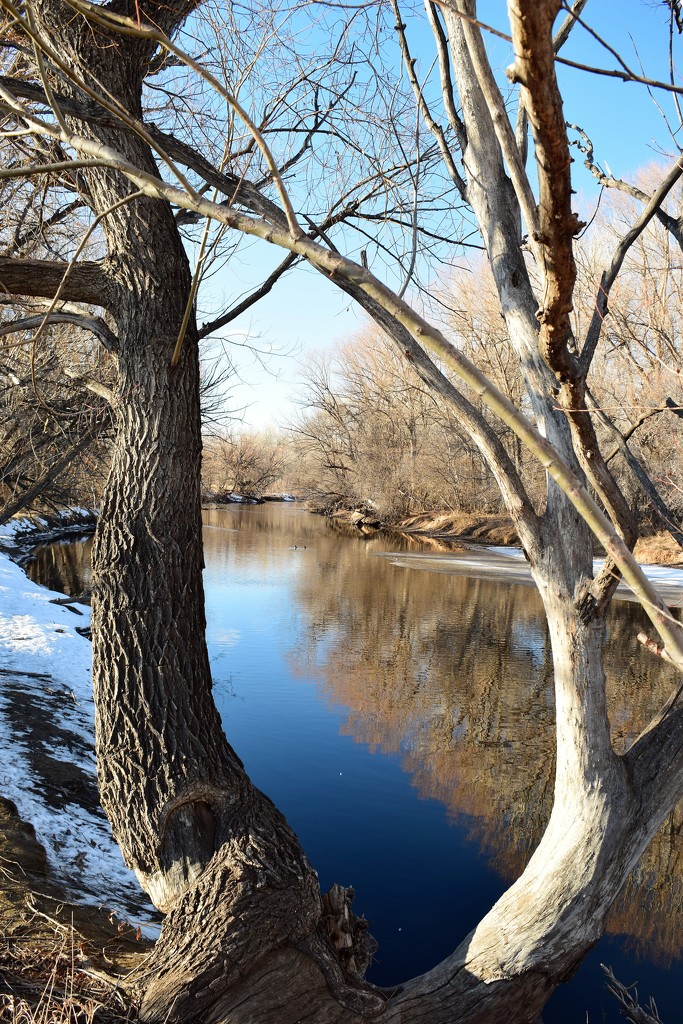 Poudre River at Kingfisher Point by sandlily