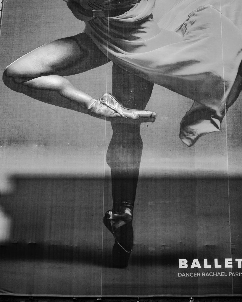 Ballet in B&W by ggshearron