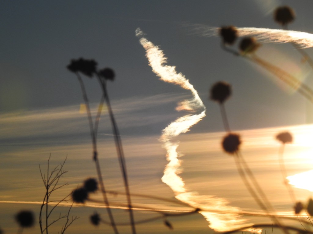 Airplane Vapor Trail at Sunset by janeandcharlie