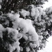 Pretty Snow by spanishliz