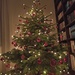 Our little tree by gabis