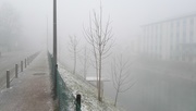 4th Jan 2020 - super foggy morning