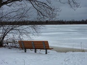 4th Jan 2020 - Frozen lake view