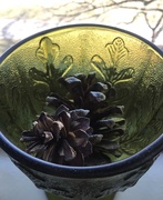 1st Jan 2020 - Composition with pine cones and glass