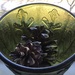 Composition with pine cones and glass by mcsiegle