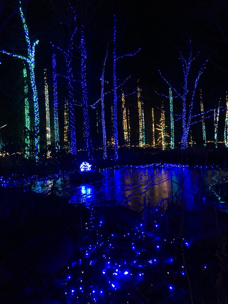 Maine Botanical Garden all lit up by clay88