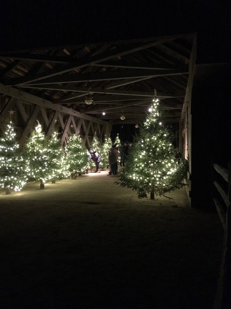 Christmas Trees in the covered bridge by clay88