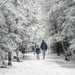 Snow day by novab