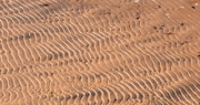 5th Jan 2020 - Sand Patterns!