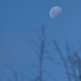 Tonights Moon - 7.04pm by kgolab