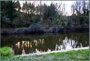 7th Jan 2020 - Reflections on the Severn 