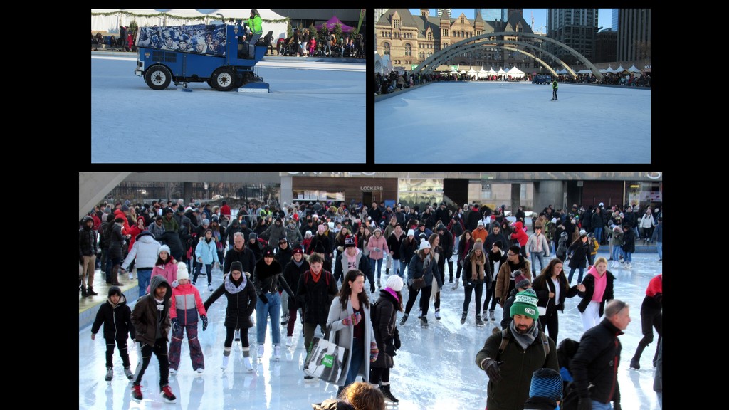 Skating at Nathan Phillips Square in Toronto by bruni