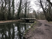 5th Jan 2020 - Stomping by the canal