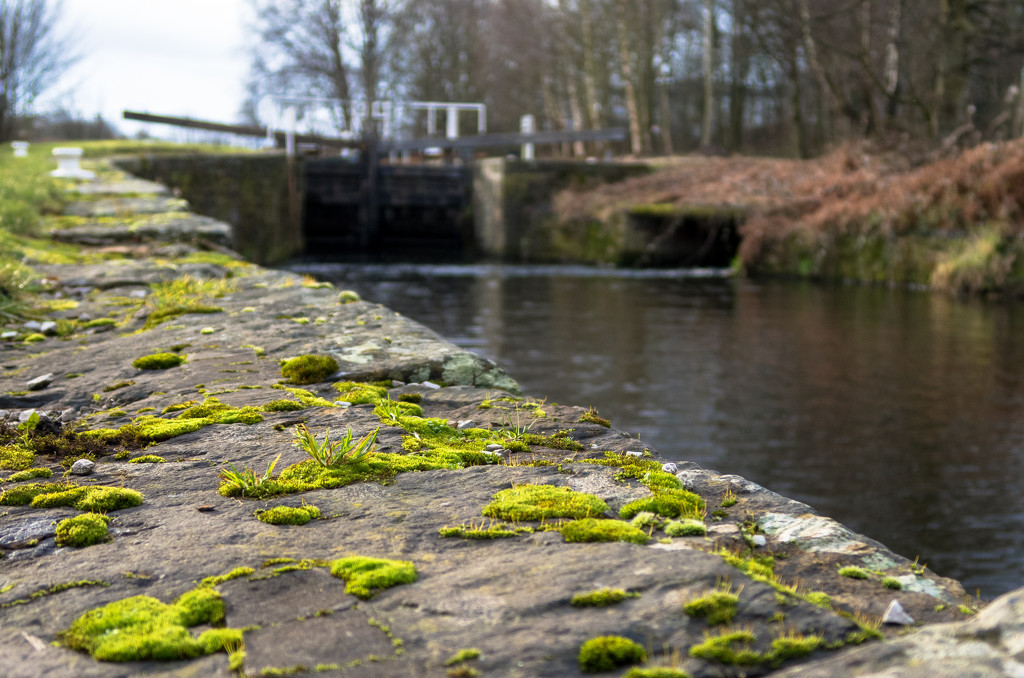 Huddersfield Broad Canal Lock No 2 by peadar